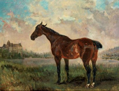 Comte de Odon de TOULOUSE-LAUTREC (XIXe) Le cheval Niniche. Huile sur toile, titrée...