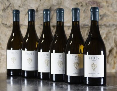 null 6 bottles SAVENNIÈRES "Fidès", Eric Morgat 2020