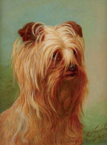 W. H. TROOD (XXème siècle) Le chien Huile sur panneau, signée. 18 x 13 cm Provenance:...