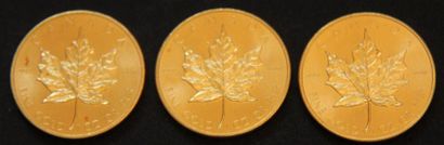 null Trois pièces de 50 dollars canadien Mapple Leaf 1981 en or(*)