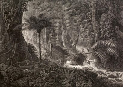 Claude-François FORTIER (1775 - 1835) Forêt vierge du Brésil d'après Jean - Baptiste...