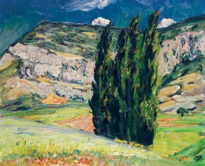 RENE SEYSSAUD (1867-1952) Paysage de Provence Huile sur toile signée en bas à gauche...
