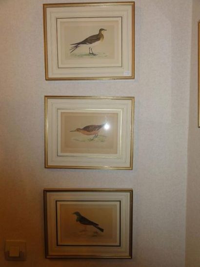 null Six reproductions d'oiseaux, à vue 14,5x21,5 cm