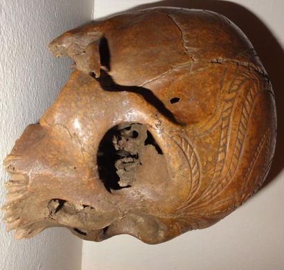 Cabinet de curiosités Crâne Dayak au décor végétal incisé L: 17 cm