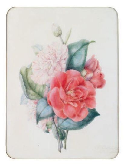 CORBIN Aline - Active vers 1835 - 1848 Etude de fleurs Graphite et aquarelle Signé...