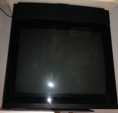 null TV Bang & Olufsen avec télécommande 67x64 cm et box internet