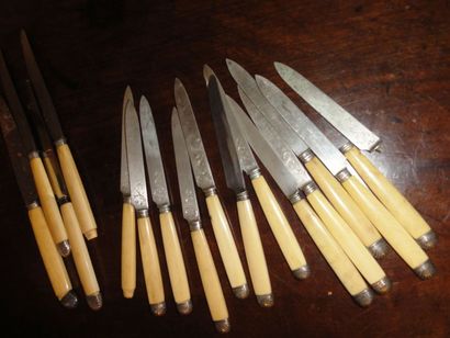 null 10 Couteaux à fruit lame argent manche ivoire avec un autre cassé et des couteaux...