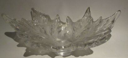 null Coupe en cristal en forme de feuille L: 45 cm