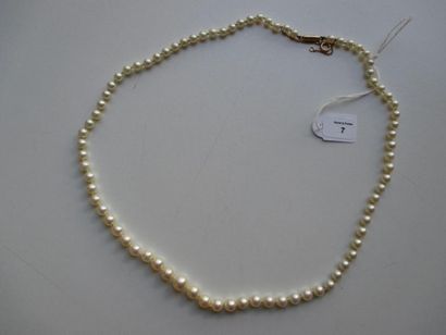 null Collier de quatre-vingt perles de culture en chute, le fermoir de forme cylindrique...