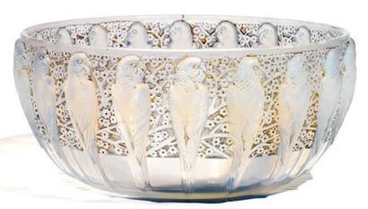 RENE LALIQUE (1860-1945) Coupe Perruches en verre moulé pressé opalescent et patiné...