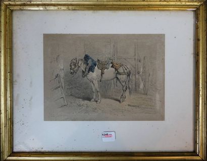 Jules GAILDRAU (1816-1898) Cheval harnaché Gravure rehaussée
