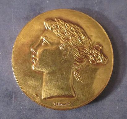 null Une médaille en métal doré Alliance française réalisée par P. BELMONDO