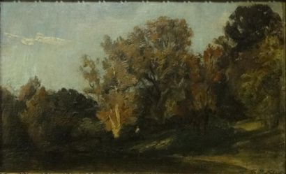 Friedrich Albert SCHMIDT (1846-1916) Payanne dans la forêt. 

Huile sur toile contrecollée...
