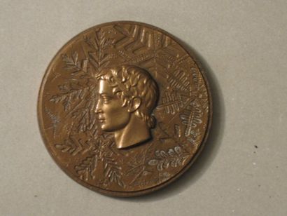 null [Paris, 1900] Plaquette officielle de juge en bronze argenté. 5 x 3,5 cm