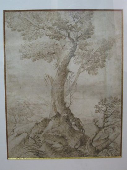ECOLE ITALIENNE du XVIIe siècle. "Etude d'arbre dans un paysage" Plume et encre brune....