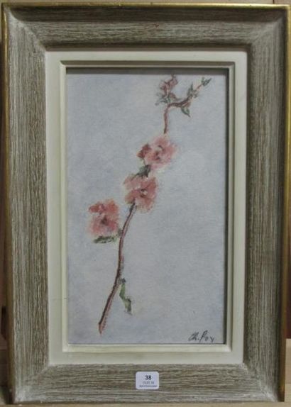 Charles FOY "Branche de fleurs"
Crayons gras signés en bas à droite
28 x 17 cm.