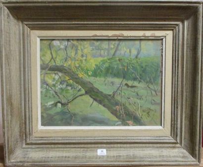 Ecole Moderne "Branches d'arbre"
Une aquarelle gouachée et un lavis d'encre
23 x...