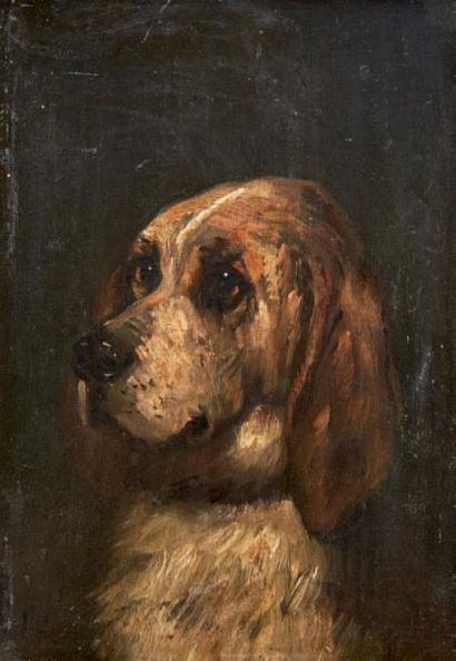 Ecole du XIXe Portrait de chien de trois-quart.
Huile sur panneau.
22,5 x 15,5 c...
