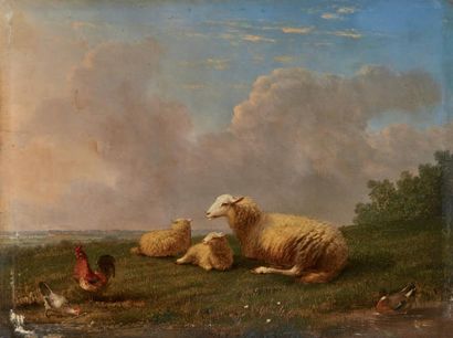 Ecole BELGE vers 1830, entourage de VERBOCKHOVEN Mouton et poules dans une prairie.
Panneau,...