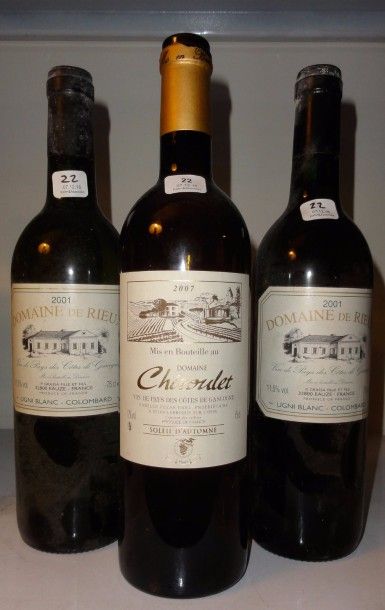 null Ensemble de 10 bouteilles :			

8 bouteilles CÔTES DE GASCOGNE Domaine de Rieux...