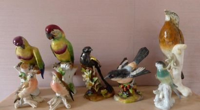 null Groupe de huit oiseaux en porcelaine polychrome Angleterre, Allemagne (acci...