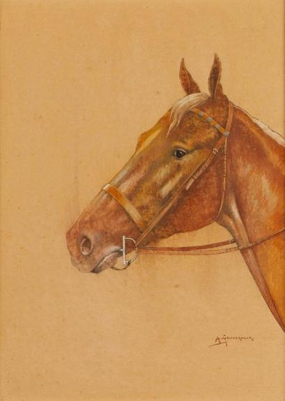 null Alfred GOUVERNEUR (Né en 1885)

Tête de cheval

Aquarelle.

26 x 18 cm