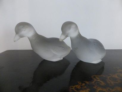 null BACCARAT

Deux sculptures en cristal représentant des canards