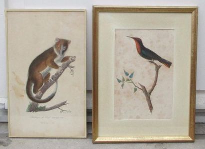 null Trois lithographies japonaises sur le thème des animaux

24x17 cm
