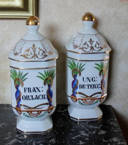 null Paire de pots à pharmacie en porcelaine de Paris à décor polychrome 