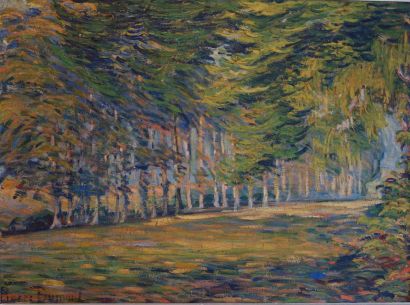 null Pierre DUMONT (1884-1936)

Allée d'arbres à l'automne

Huile sur panneau, signé...