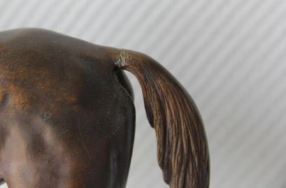 null Paul COMOLERA (1818-1897) d'après

Jockey sur son cheval

Epreuve en bronze...