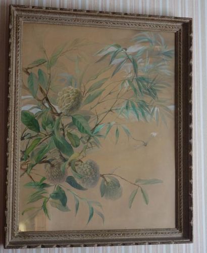 null Jeanne FOUGERAT

Branchages fleuris

Quatre aquarelles signées

61,5 x 48 cm;...