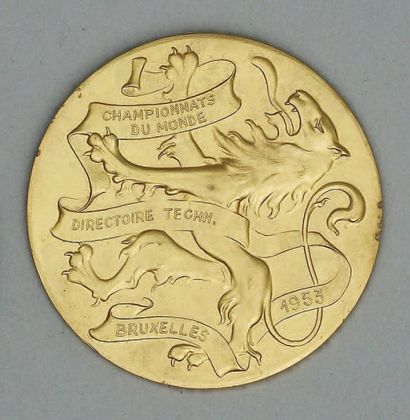 null Superbe médaille en métal doré remise aux membres du Directoire Technique International...