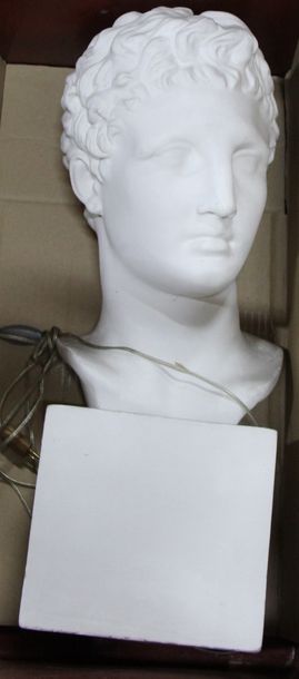 null Tête en plâtre "David" H : 60 cm