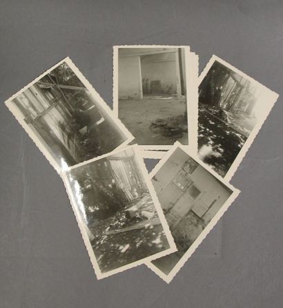 null BRANCUSI. 8 photographies, noir & blanc 9x12 cm, par André Rolland de Renéville...
