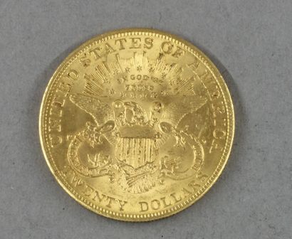 *Une pièce de 20 dollars en or 1904