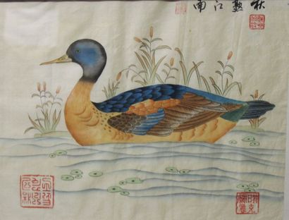 null Chine Un canard Peinture sur papier de riz 29x37 cm (à vue)