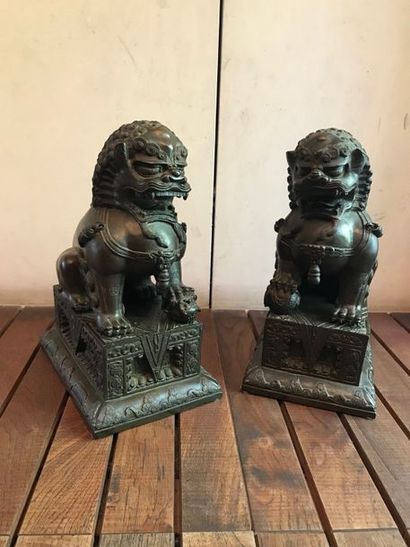 null Paire de chiens de Fô en bronze sur des socles, Chine XIXème s.
H : 38  L :...