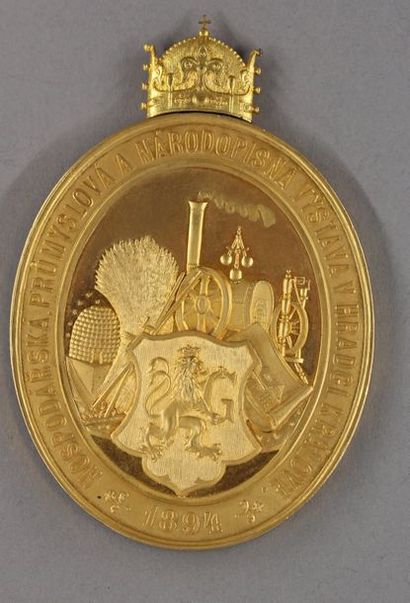 null Empire Austro-hongrois : Médaille ovale en bronze doré de l'Exposition économique,...