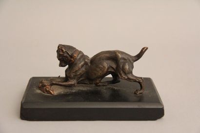 null Presse-papier en bronze réprésentant un chien attrapant une souris. Il repose...