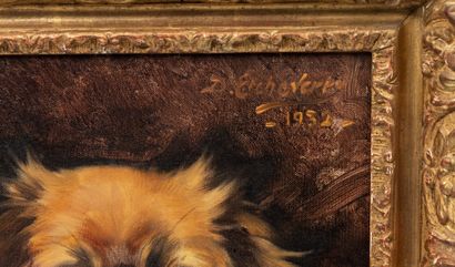 null Hubert Denis ETCHEVERRY (1867-1950).

Portrait d'un pékinois.

Huile sur toile,...
