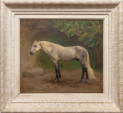 null Frederick Arthur BRIDGMAN (Tsukegee, Alabama 1847-1928 Rouen).

Horse (ROMEO...