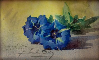 null Blanche ODIN (1865-1957).

Gentians.

Watercolor on paper, signed lower left...
