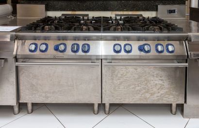 null ELECTROLUX PROFESSIONAL.

Double four-burner gas stove with oven, all stainless...