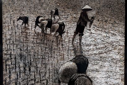 null THANH LEY, Vietnam (Hanoi School). 

Rice fields. 

Lacquer panel on black background,...