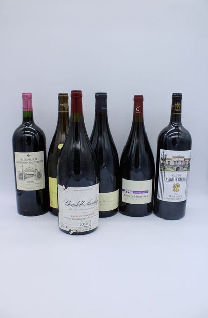 null Assortiment de magnums

Chambolle-Musigny 1er Cru Les Charmes Domaine Amiot-Servelle...