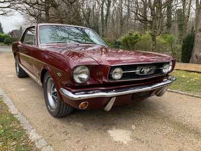 null Ford Mustang GT 1966



Carte grise suisse

Numéro de Châssis 6F0 7A3 256 91

Cylindrée...