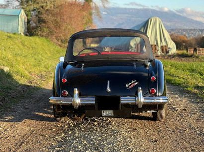 null Austin Healey 3000 BT7 HBN Cabriolet 1961

Carte grise suisse
Numéro de châssis...