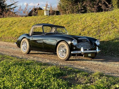 null Austin Healey 3000 BT7 HBN Convertible 1961

Swiss registration
Chassis number...