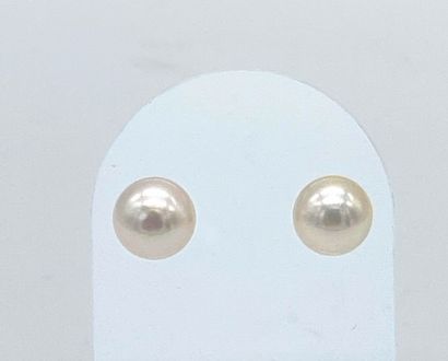 null Pair of white gold ear studs 750, decorated with white pearls (diam. 9 mm),...